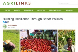 Building Resilience through Better Policies