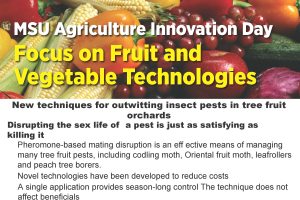 New techniques for outwitting insect pests in tree fruit orchards