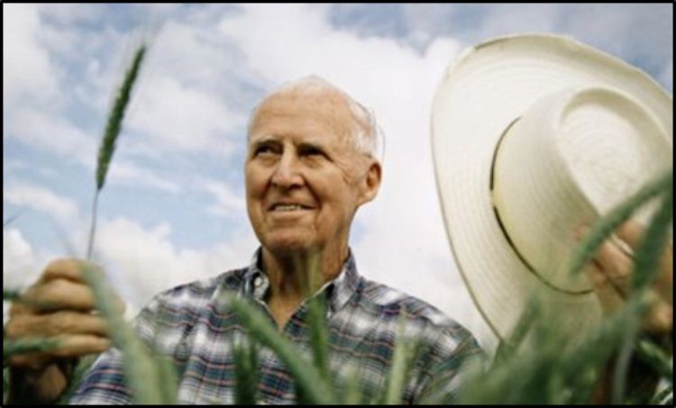 Norman Borlaug, the father of the Green Revolution.