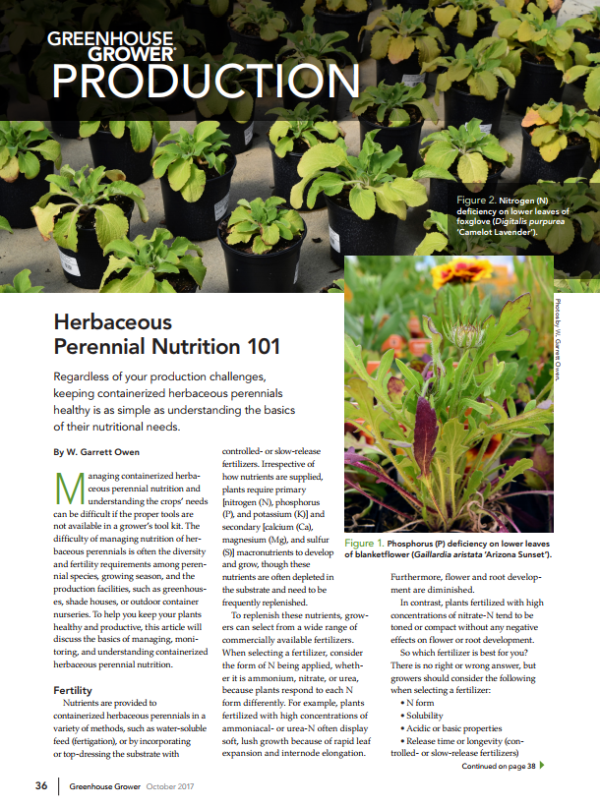 Herbaceous Perennial Nutrition 101 Msu Extension