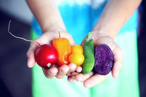 An array of rainbow-colored vegetables in a child's hands.