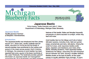 Michigan Blueberry Facts: Japanese Beetle (E2845)