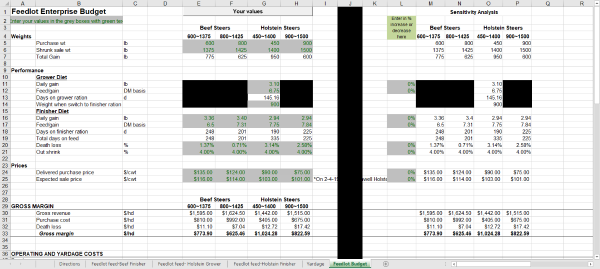 An excel sheet of the budget tool