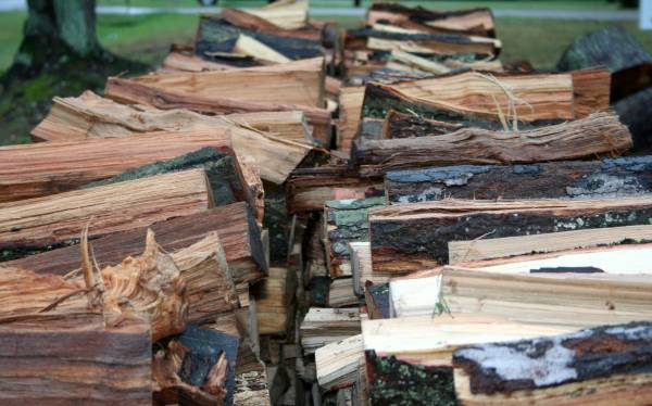 Best way to store and care for firewood MSU Extension