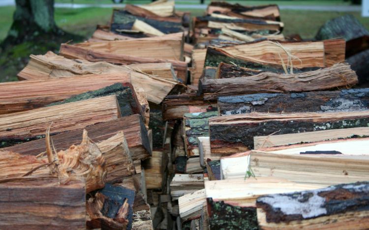 Rows of stacked firewood. Photo credit: Robert Trickel, North Carolina Forest Service, Bugwood.org