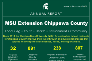 Chippewa County Annual Report: 2021