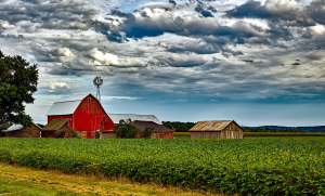 Helping farmers manage their farms