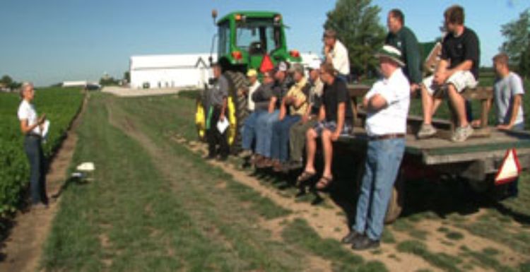 MSU AgBioResearch entomologist Christina DiFonzo teaches growers