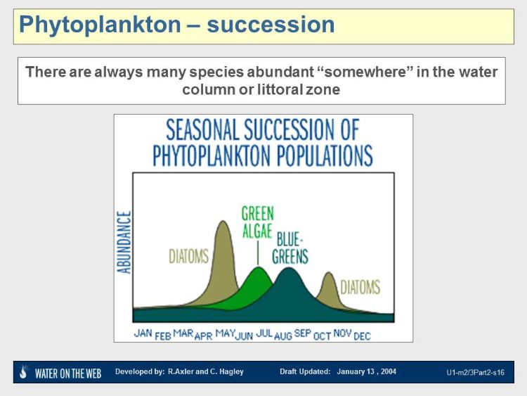 The seasonal succession of phytoplankton populations. Photo/Slide credit: Water on the Web.