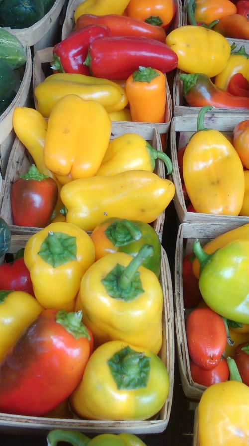 How to Store Peppers