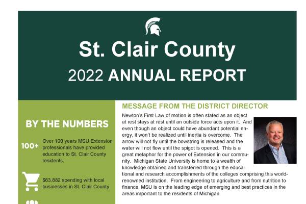 St Clair County 2022 Annual Report St Clair County