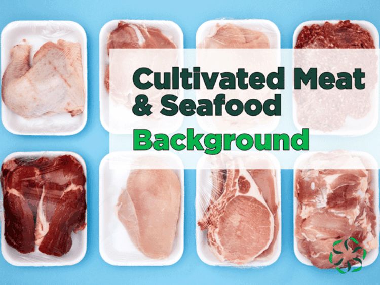 What is cultivated meat?