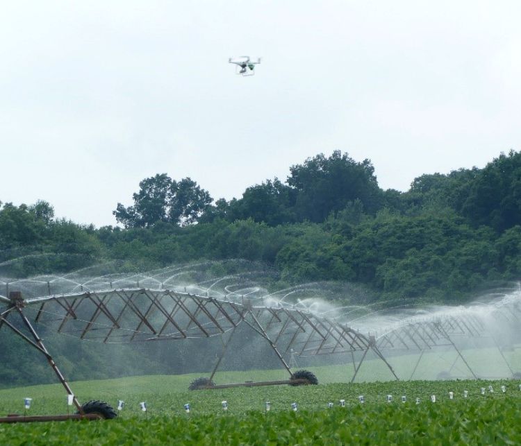 Drone over an irrigator