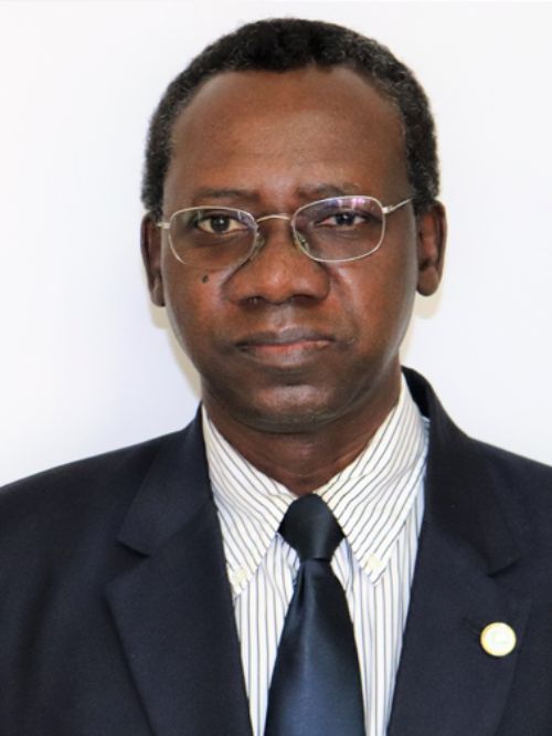 Dr. Alioune Fall - 2020 College of Engineering BAE Distinguished Alumni Award Recipient