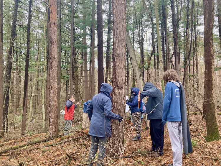 People gathered around trees participating in a tree coring exercise at MacCready Reserve.