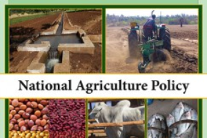 Malawi National Agriculture Policy