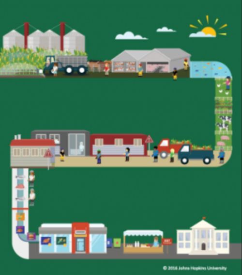 Illustration of the path of food from the farm to the consumer.