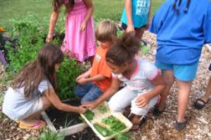 Garden safety for kids part 2: Using tools and preventing injury
