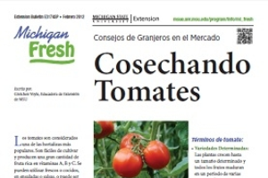 Michigan Fresh: Cosechando Tomates (E3174SP)