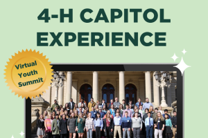 4-H Capitol Experience Youth Summit offered virtually in 2021