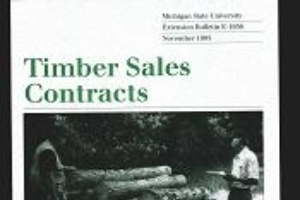 Timber Sale Contracts (E1656)