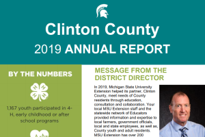 Clinton County Annual Report: 2019