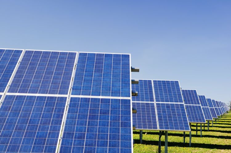 Row of solar panels in a green field on a sunny day.