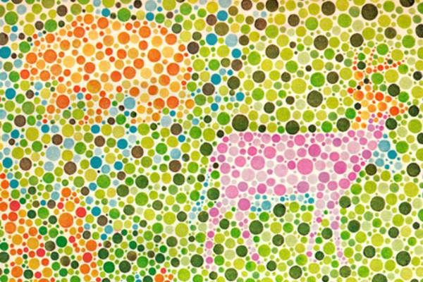 What does it mean to be colorblind? - 4-H Science, Technology, Engineering  & Math (STEM)