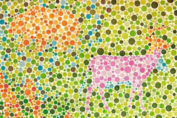 What does it mean to be colorblind? - 4-H Science, Technology, Engineering  & Math (STEM)