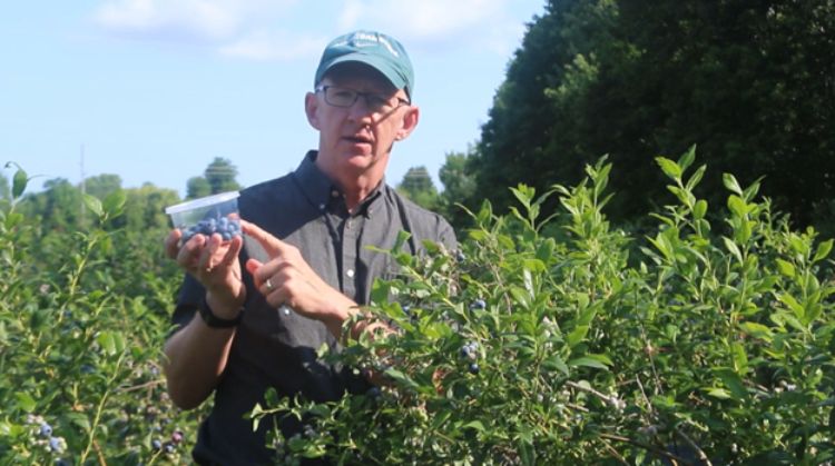 Rufus Isaacs holds a container of blueberries while standing in a blueberry field.