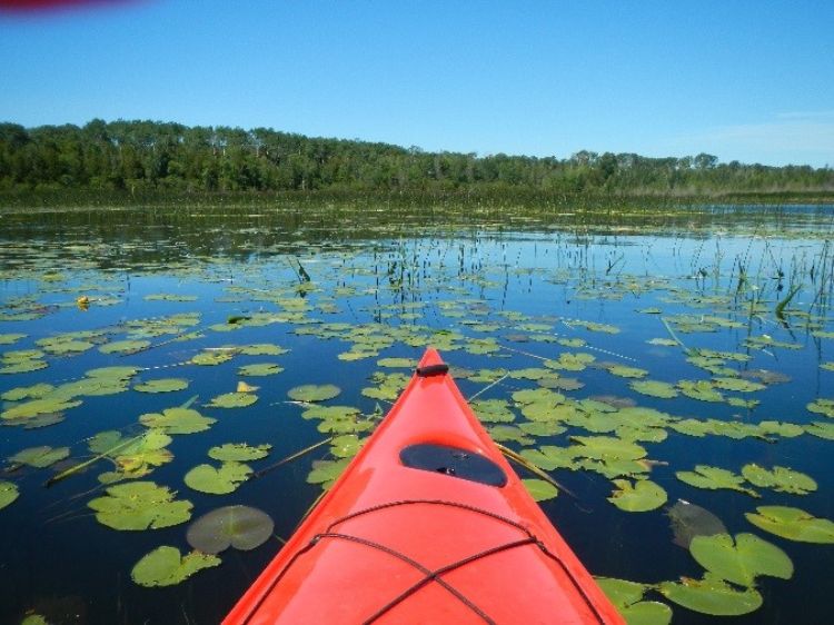 the tip of a kayak floating through water