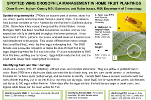 New fact sheet on spotted wing Drosophila management for home fruit production