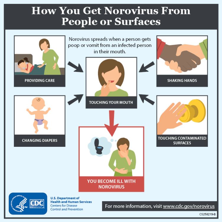 So You've Got Norovirus (The Stomach Flu), Now What? - Msu Extension