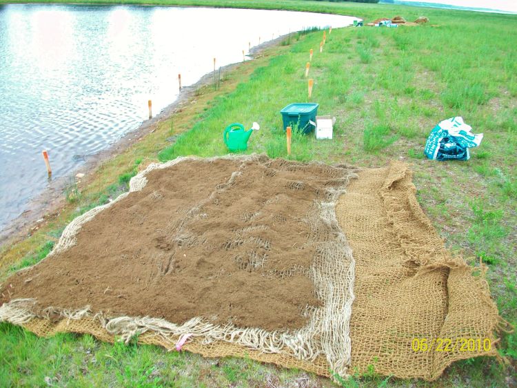 Build your own seeded coir logs for use in shoreline restoration? Part