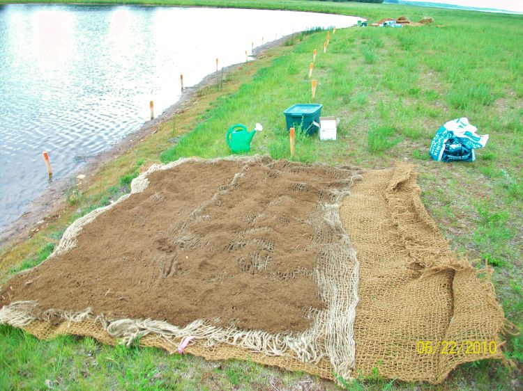 Close-up of coir/jute matting log, prior to rolling. Note added peat moss for seed retention. Photo credit: Jim Bess