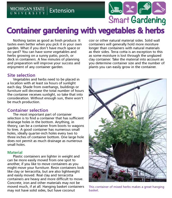 Choosing the best containers for growing vegetables