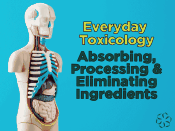 Everyday Toxicology – Exposure to Ingredients: Titanium Dioxide - Center  for Research on Ingredient Safety