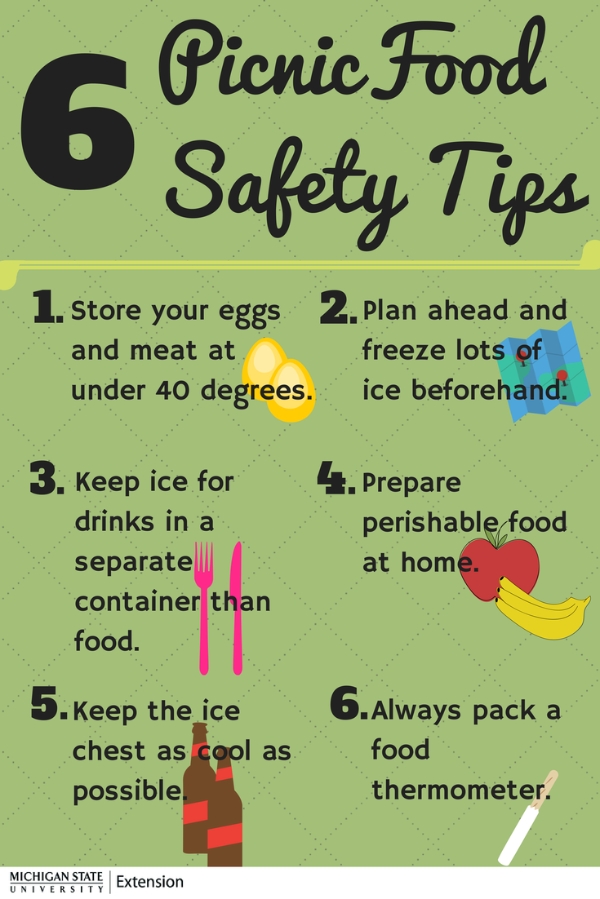 Six tips to keep your food safe during picnics and camping trips MSU