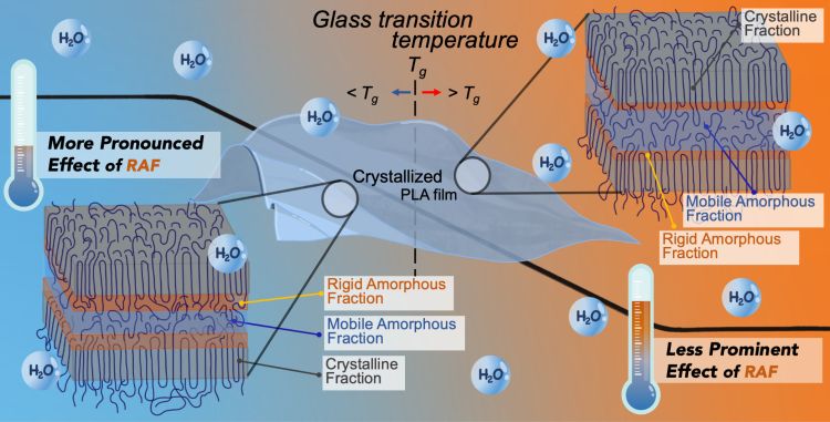 Temperatures induce diverse effects on the hydrolysis rate of semicrystalline PLA.