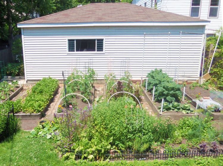 Choosing a smart site for your vegetable garden - Gardening in Michigan