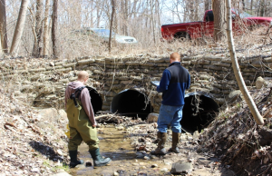 Michigan Clean Water Corps leads the way in helping individuals protect and manage water resources