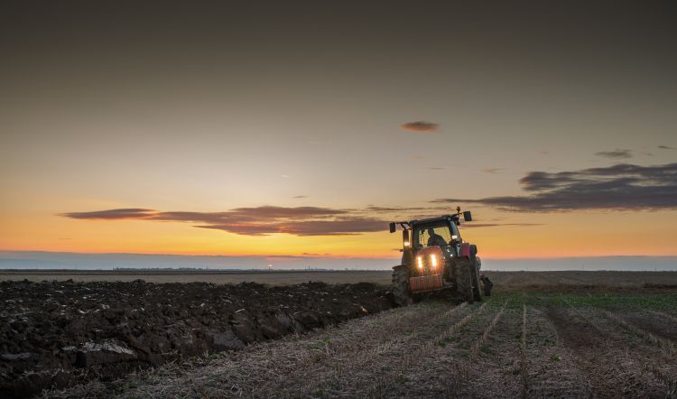 Farm equipment in a field at dusk.