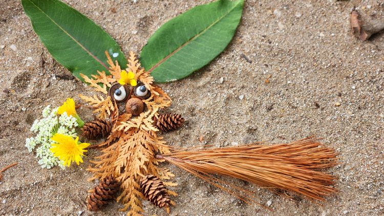 An animal made out of natural objects such as leaves, pinecones, pine needles, shells and flowers.