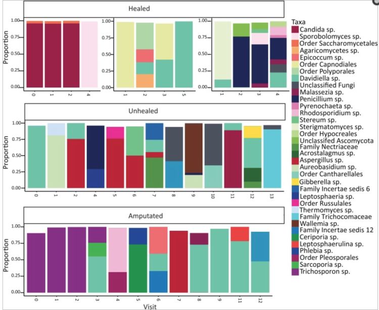 Fungal communities were highly unstable across a number of visits during the 26-week treatment period even in individuals that had their wounds healed by the end of the study.