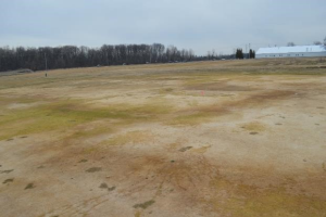 MSU researchers part of team investigating winter stresses of turfgrass in northern climates