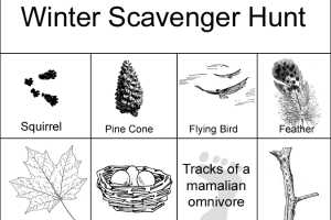Environmental Games And Activities Scavenger Hunts Msu Extension