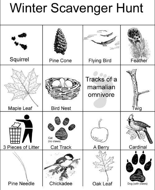 Environmental games and activities: Scavenger hunts - MSU Extension