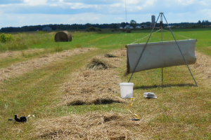 Second year hay fertilizer and lime demonstration in Chippewa County