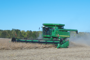 Overcoming soybean harvest challenges in 2022 – lodging and green stems