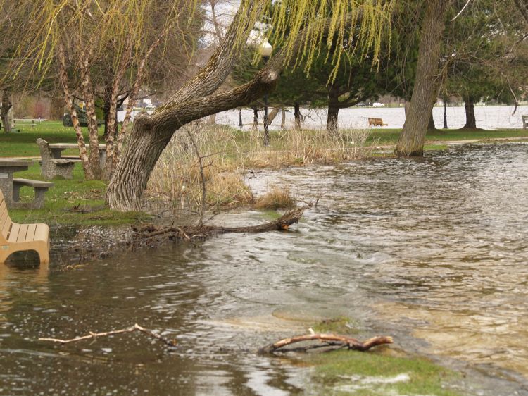 Photo: Spring 2013 flooding of Cadillac natural shoreline demonstration site. Photo credit: Al Dumond, City of Cadillac